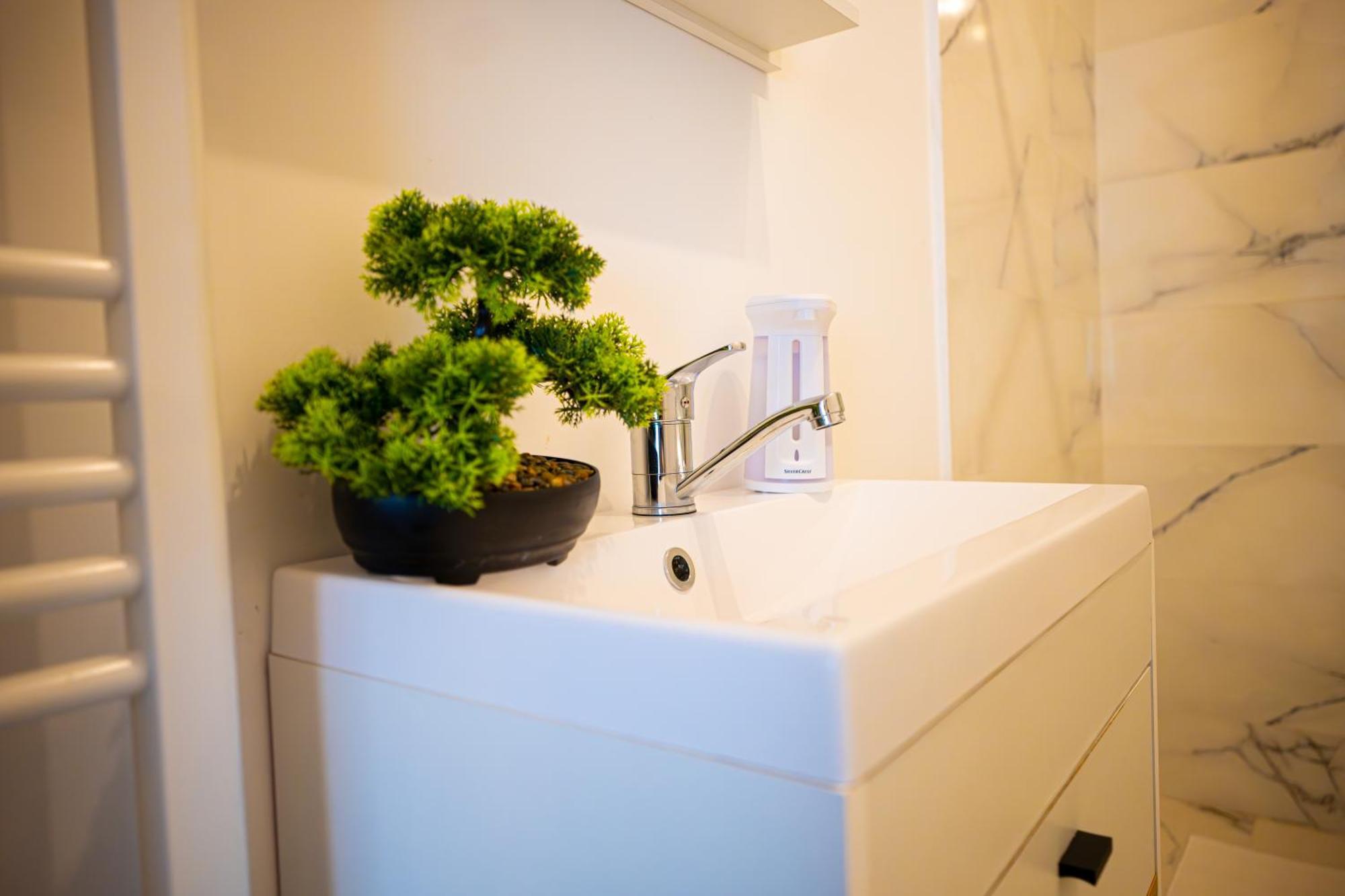 Aly&Emy Villa Caransebes Ngoại thất bức ảnh