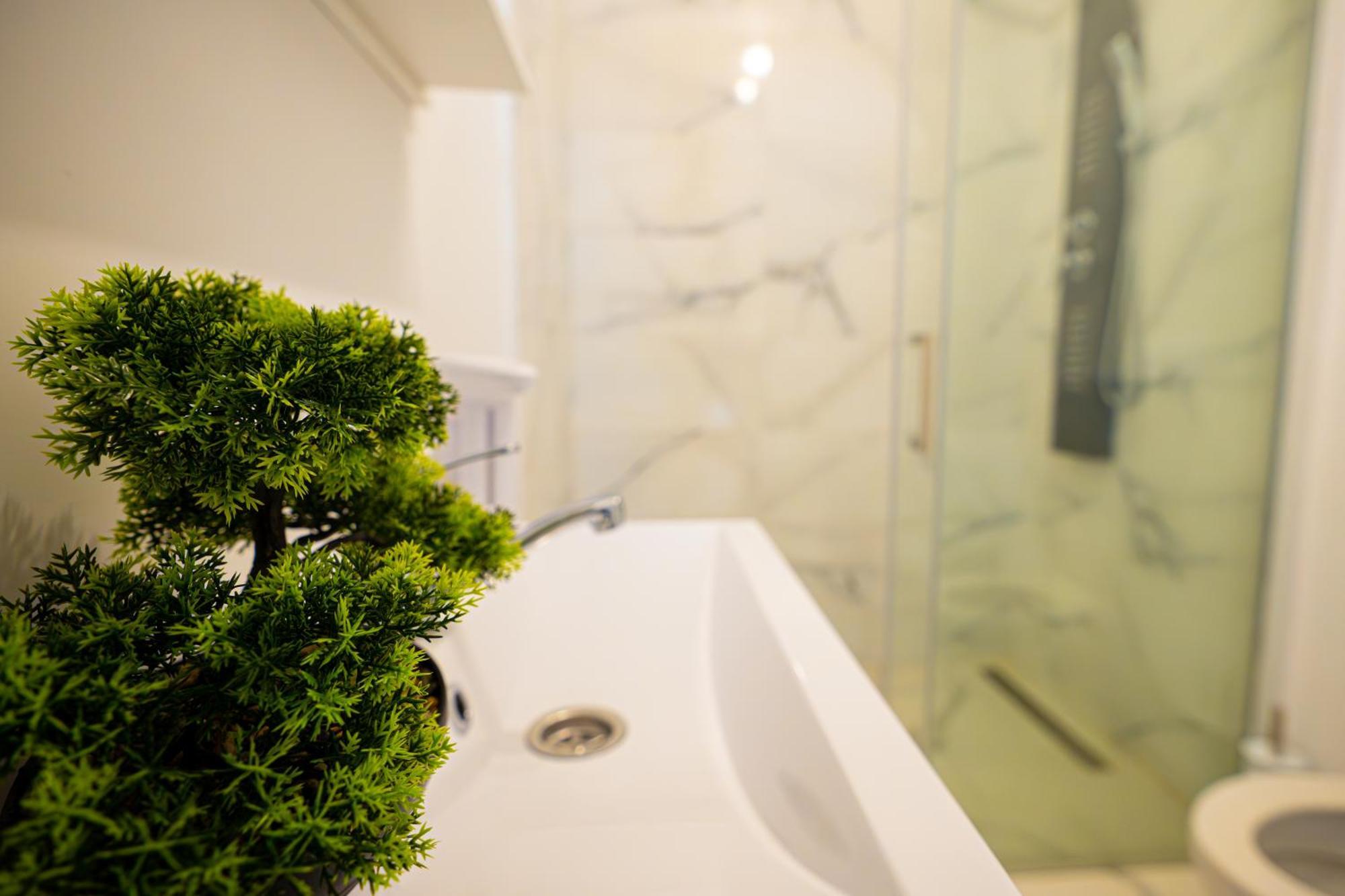 Aly&Emy Villa Caransebes Ngoại thất bức ảnh